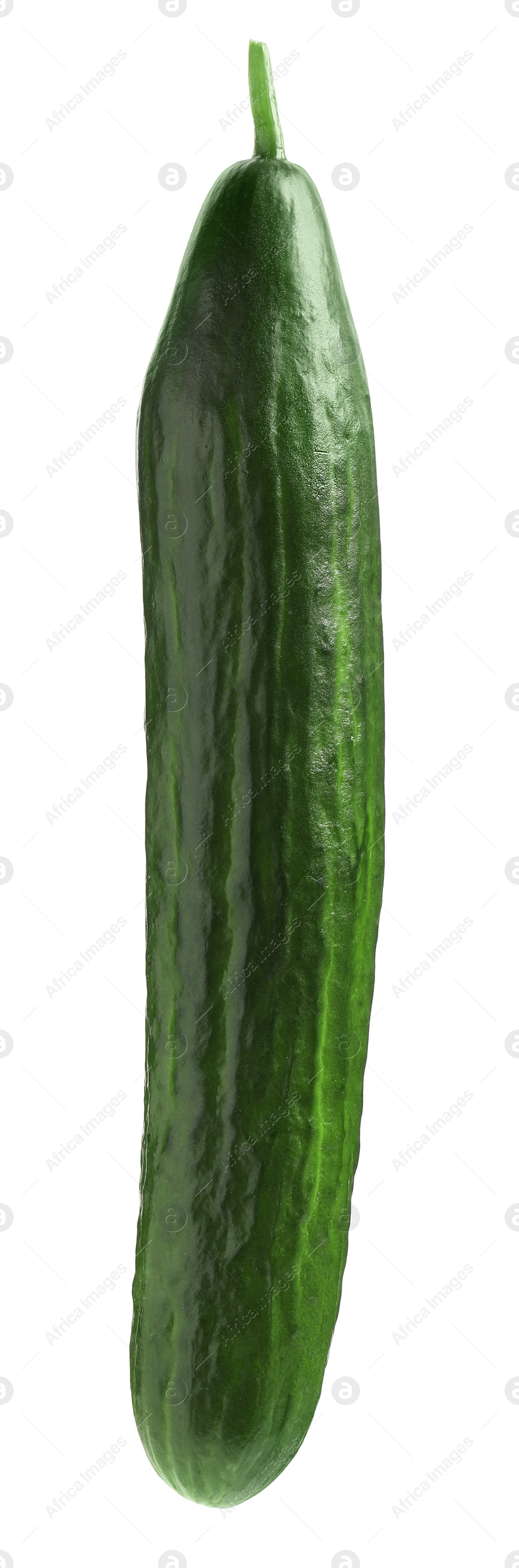 Photo of One long fresh cucumber isolated on white