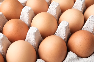 Raw chicken eggs in carton, closeup view