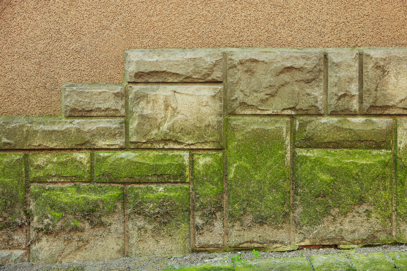 Photo of View of stone wall with green moss outdoors, closeup