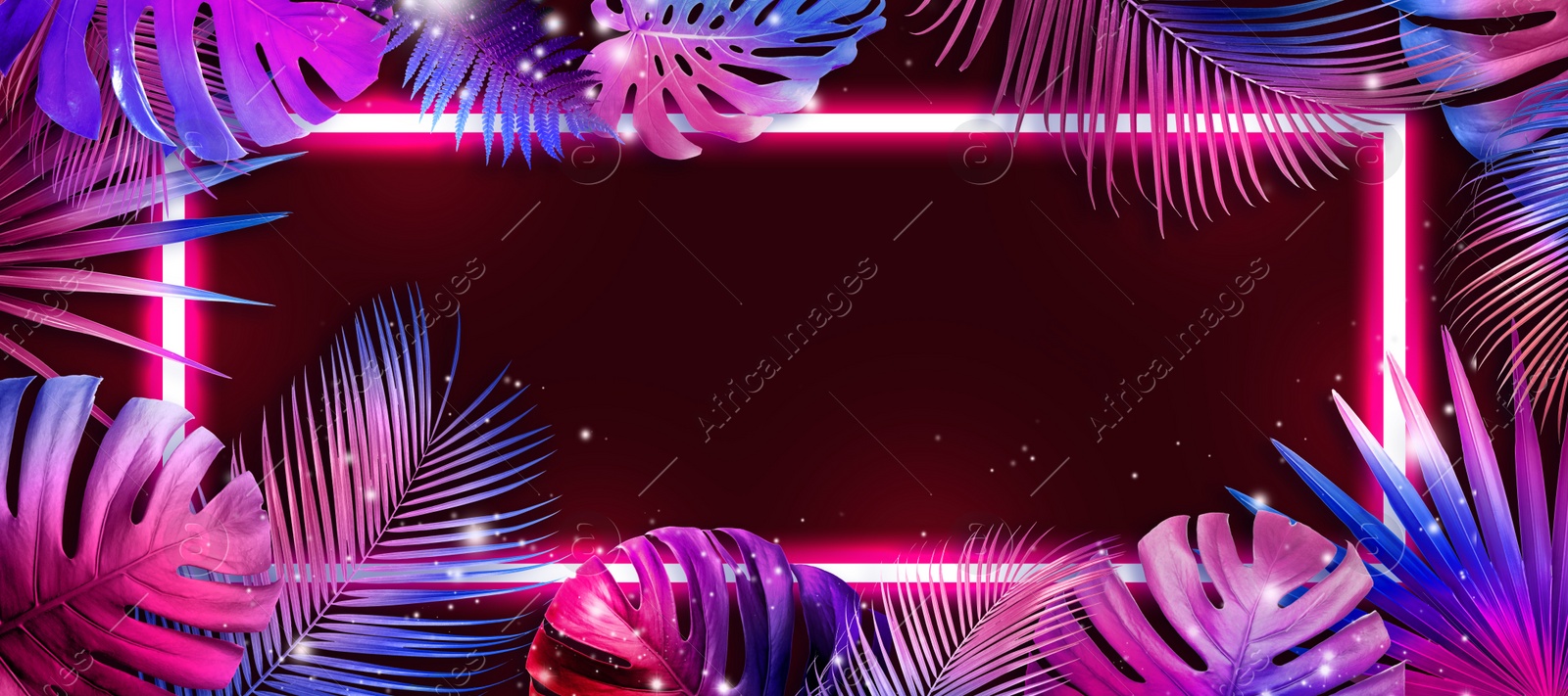 Image of Bright tropical leaves and glowing neon frame on dark background, banner design. Space for text