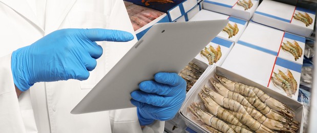 Food quality control specialist examining shrimps in supermarket, closeup. Banner design