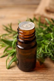 Bottle with essential oil and fresh rosemary on wooden table, closeup