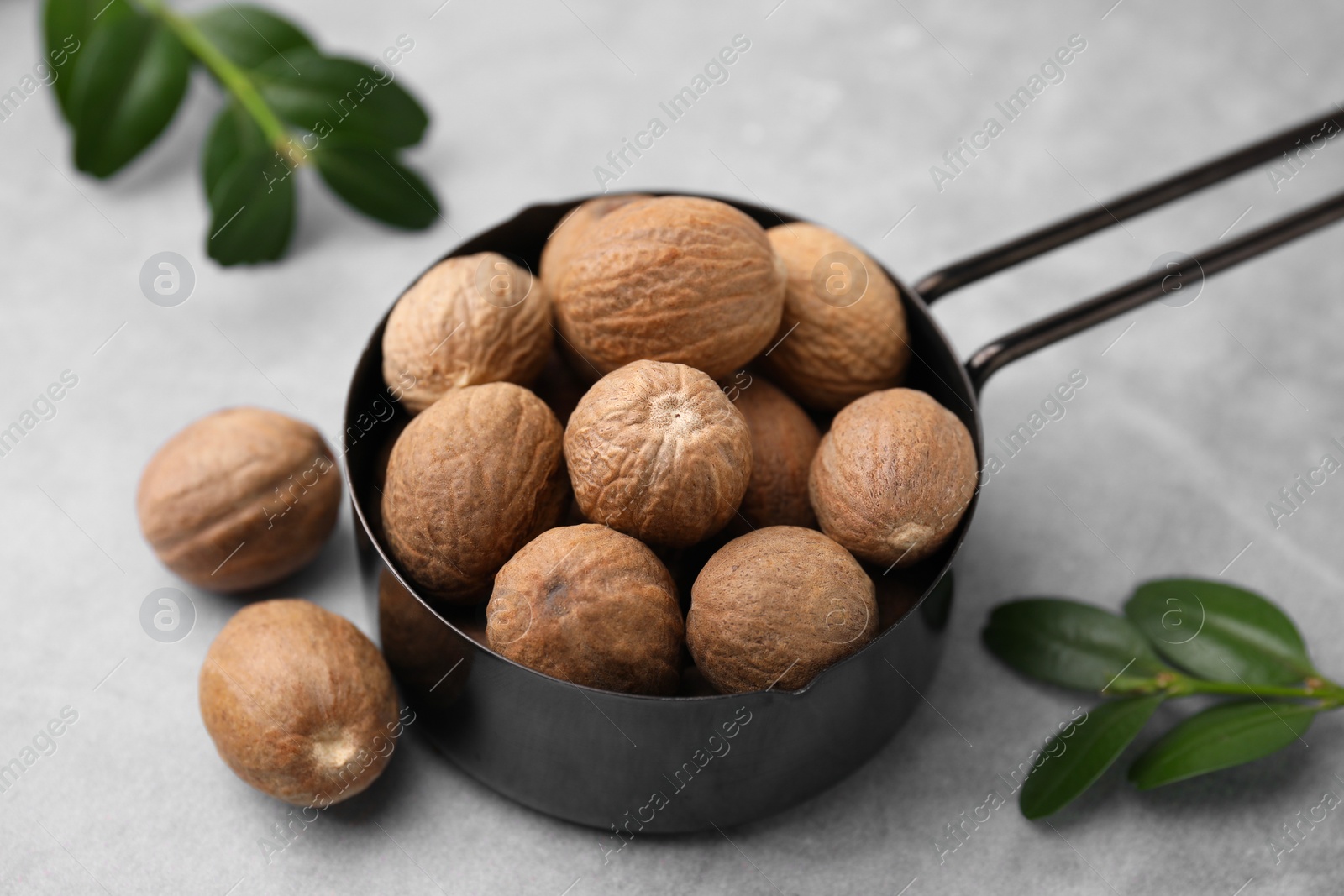 Photo of Whole nutmegs in small saucepan and green branches on light table, closeup