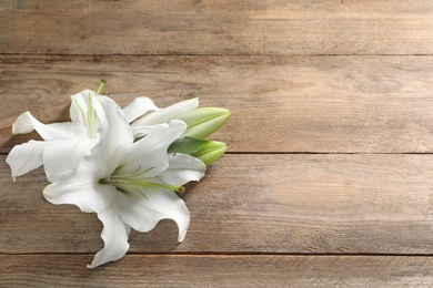 Image of Beautiful lily flowers on wooden background. Space for text