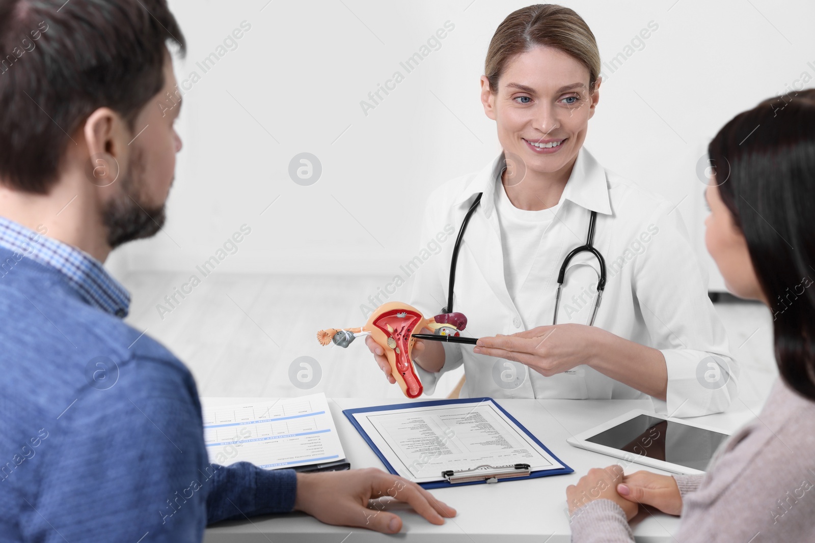 Photo of Fertility doctor demonstrating model of female reproductive system to couple in clinic. Patient consultation