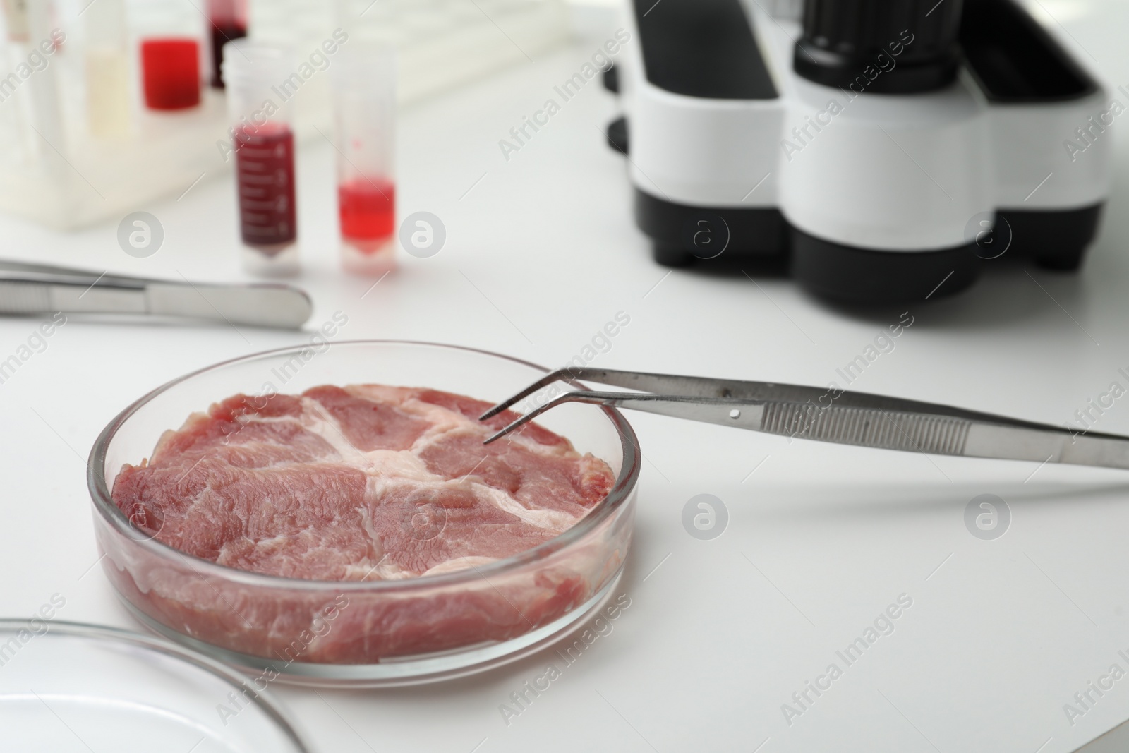 Photo of Sample of cultured meat on white lab table