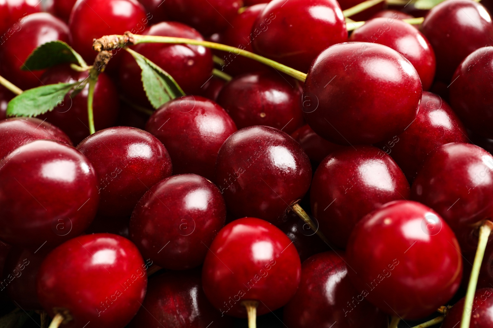 Photo of Delicious ripe sweet cherries as background, closeup view