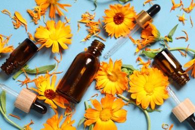 Bottles of essential oils and beautiful calendula flowers on light blue background, flat lay