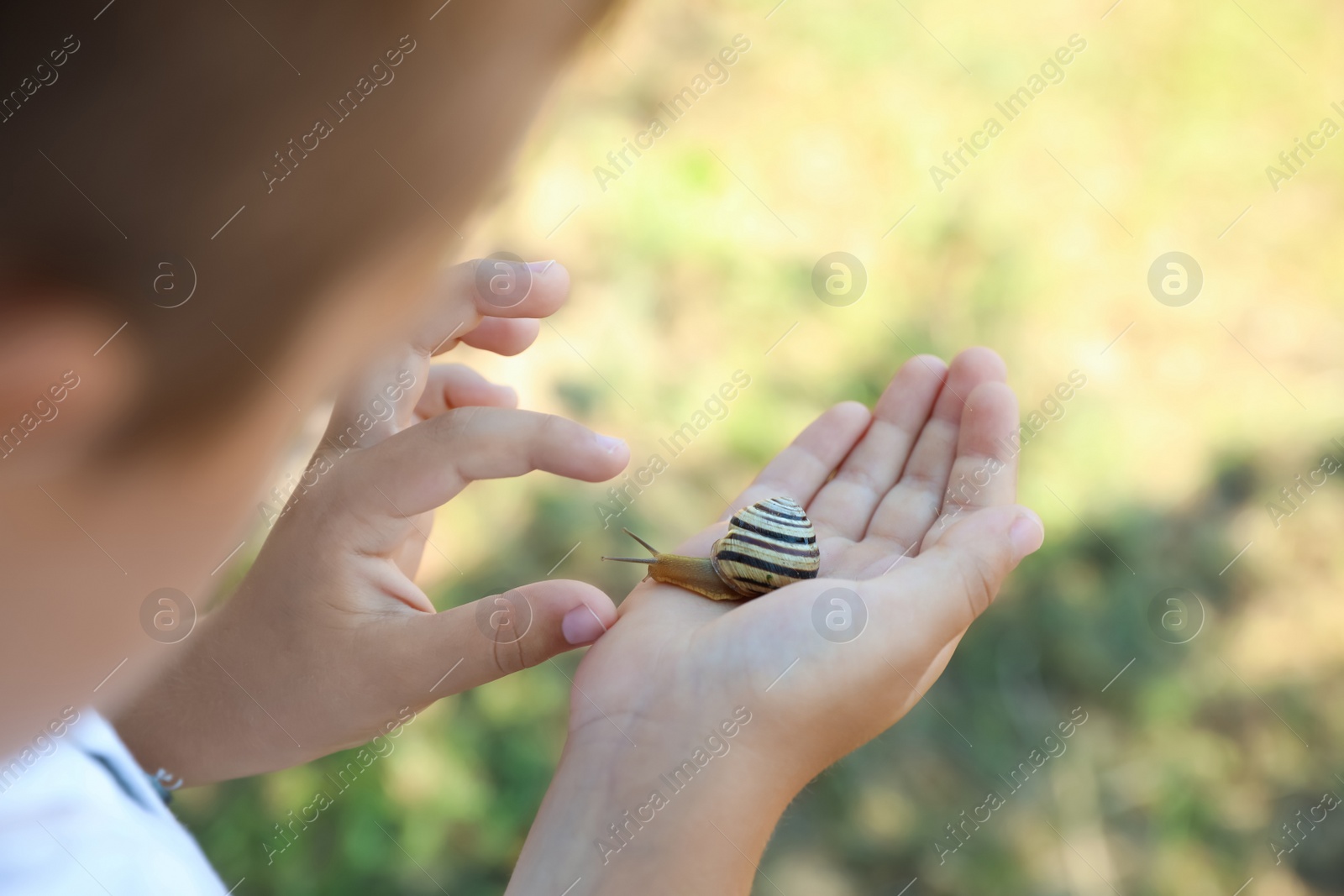 Photo of Boy playing with cute snail outdoors, closeup. Child spending time in nature