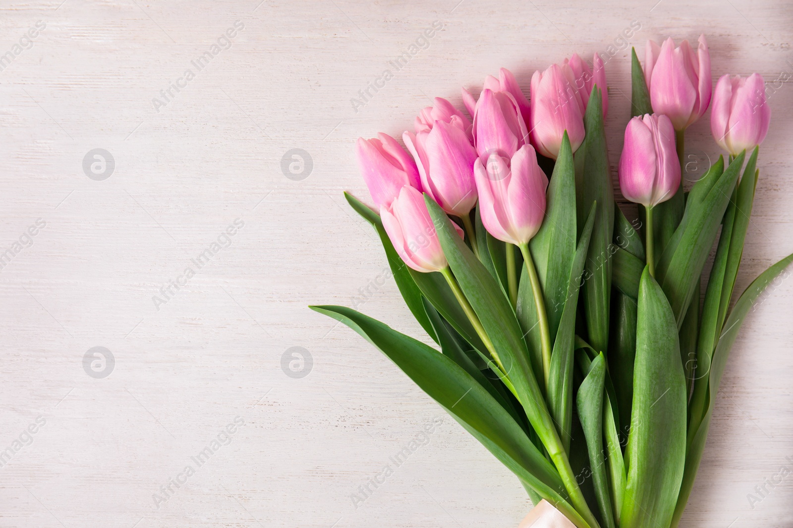 Photo of Beautiful pink spring tulips on white wooden background, top view. Space for text