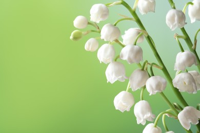 Beautiful lily of the valley flowers on blurred green background, closeup. Space for text