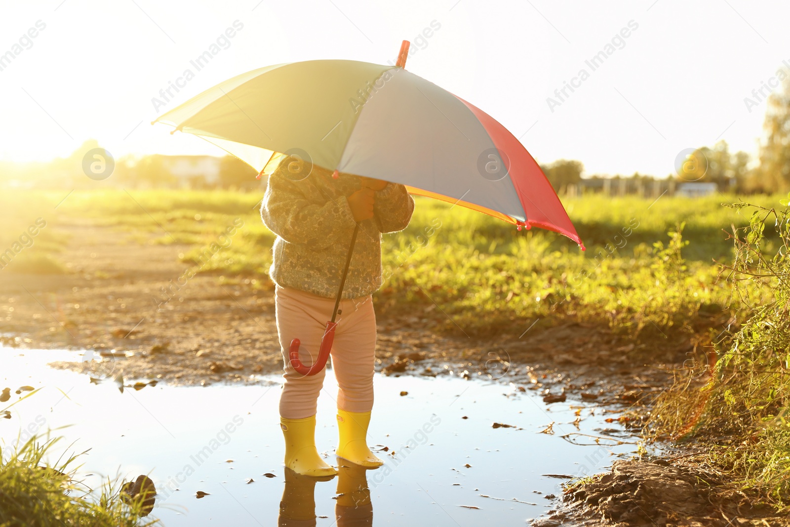 Photo of Little girl wearing rubber boots with colorful umbrella in puddle outdoors, space for text. Autumn walk