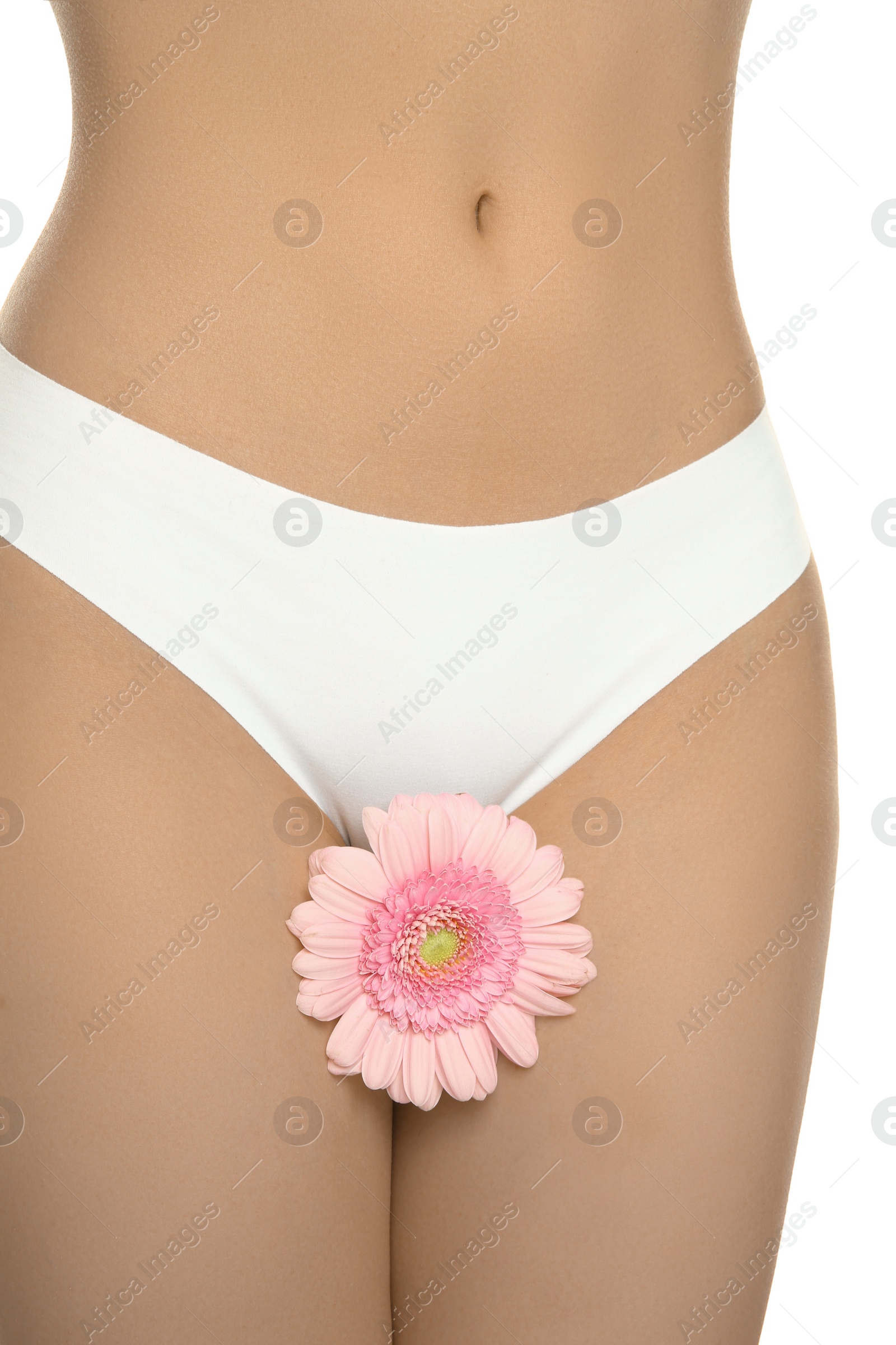 Photo of Gynecology. Woman in underwear with gerbera flower on white background, closeup