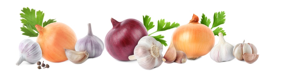 Mix of fresh garlic and onions on white background. Banner design