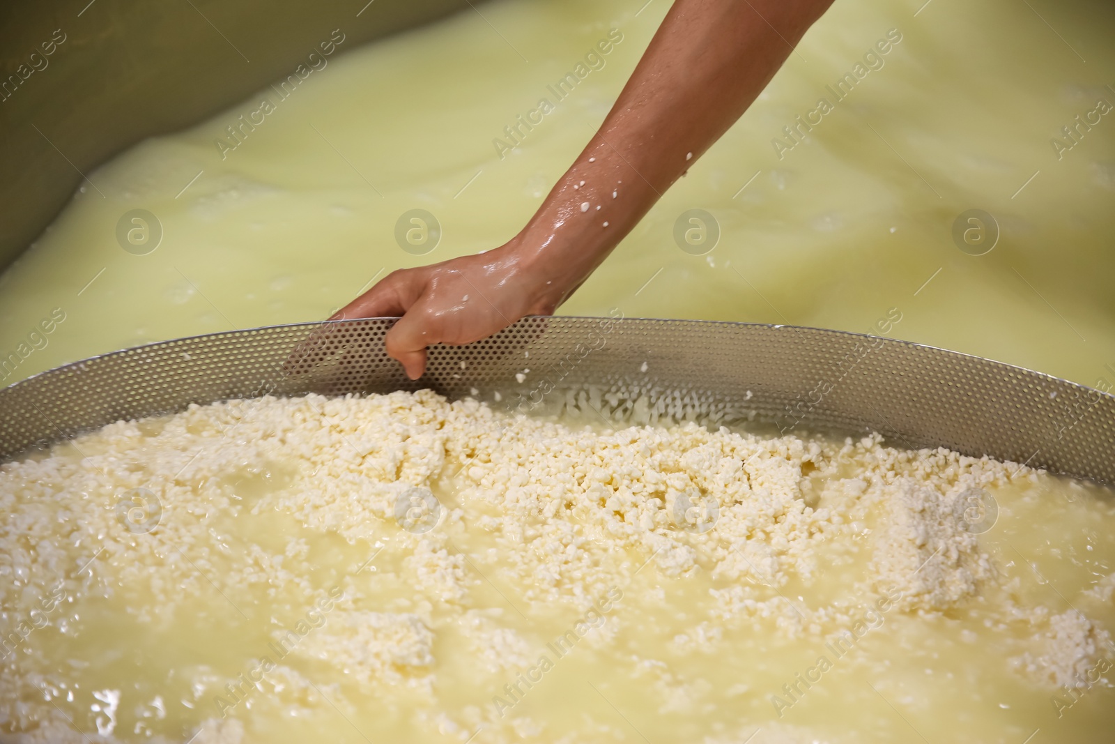 Photo of Worker separating curd from whey in tank at cheese factory, closeup