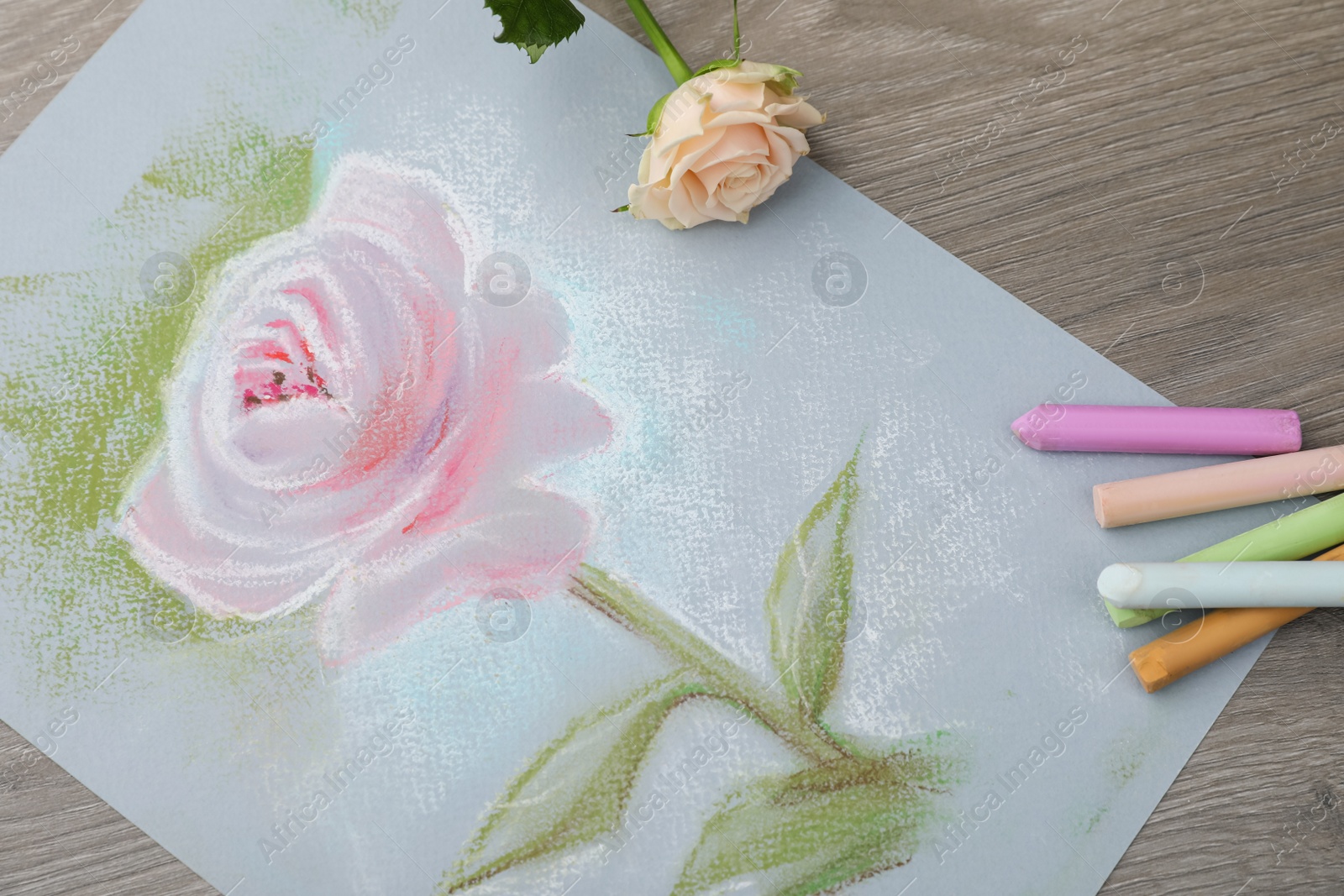 Photo of Beautiful drawing of pink rose, fresh flower and pastels on wooden table, flat lay