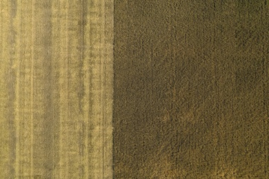 Beautiful aerial view of cultivated field on sunny day. Agriculture industry