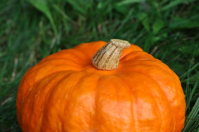 Photo of Ripe orange pumpkin among green grass outdoors, closeup