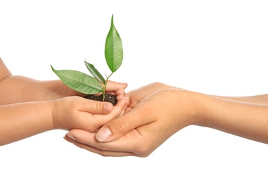 Woman and her child holding soil with green plant in hands on white background. Family concept