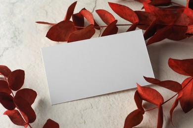 Photo of Empty business card and red eucalyptus branches on light textured background. Mockup for design