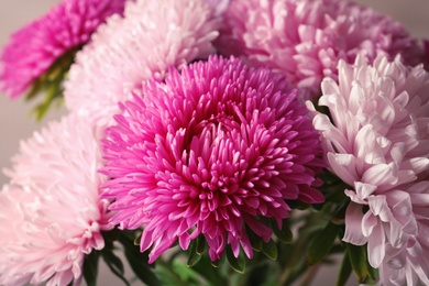 Photo of Closeup view of beautiful aster flower bouquet