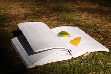 Open book and leaves on grass outdoors