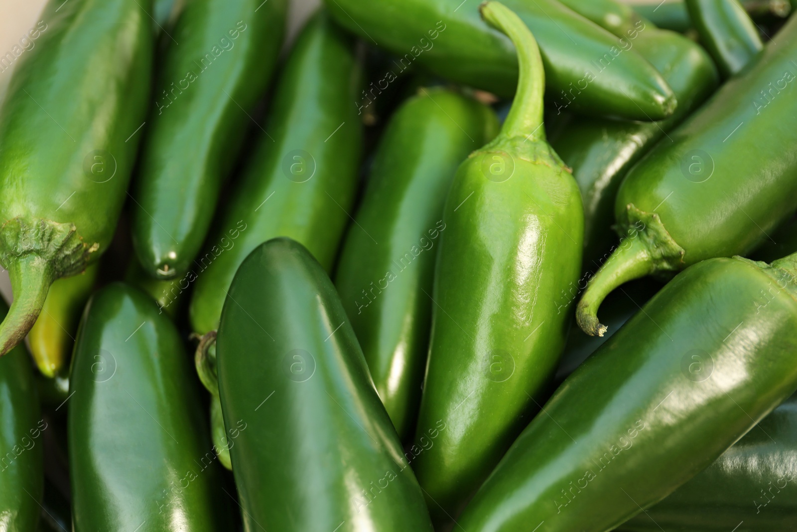 Photo of Green hot chili peppers as background, closeup