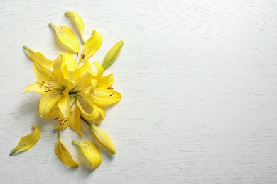 Photo of Composition with beautiful blooming lily flowers on light background