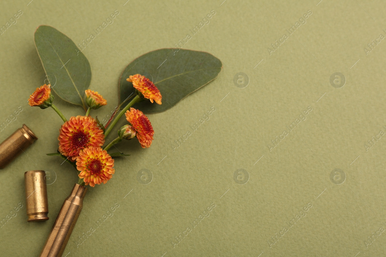 Photo of Beautiful flowers and bullet cases on green background, above view. Space for text