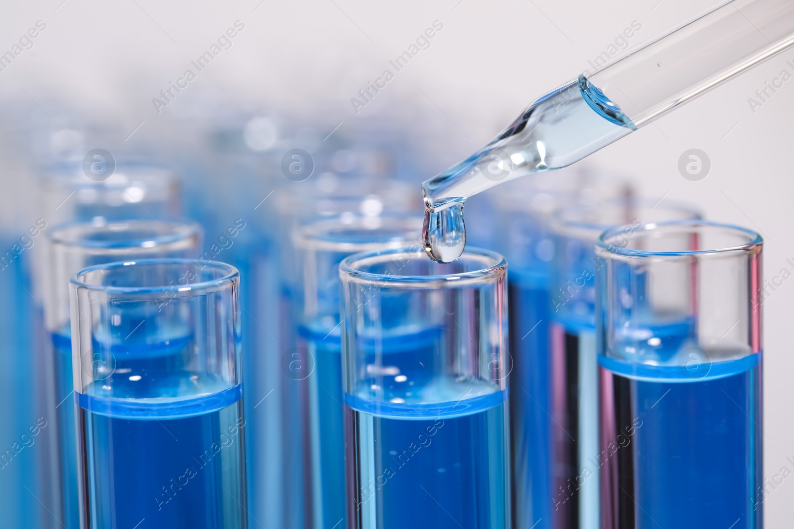 Photo of Dripping reagent into test tube with blue liquid on light background, closeup. Laboratory analysis