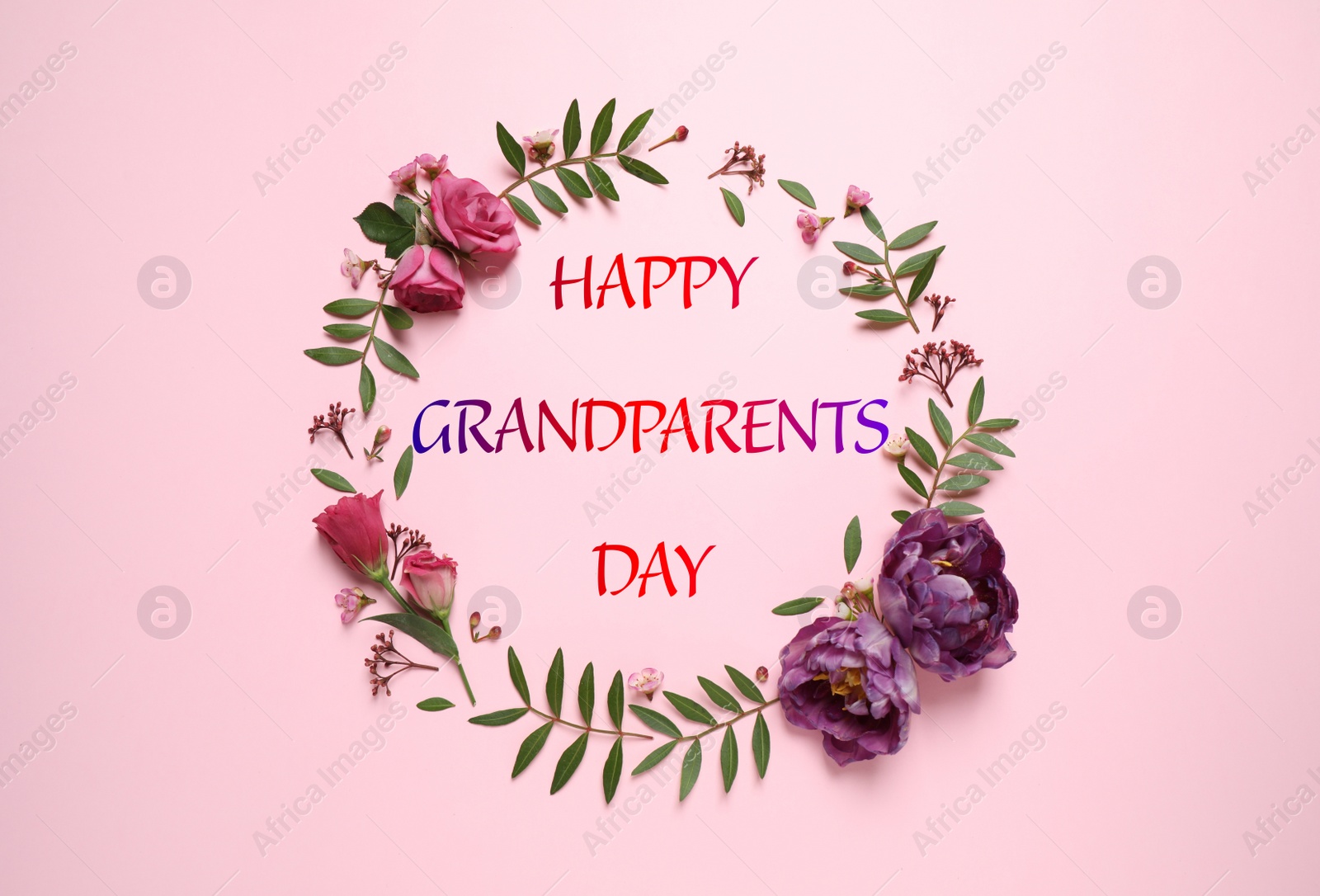 Image of Frame made of beautiful flowers and phrase HAPPY GRANDPARENTS DAY on pink background, flat lay. Floral composition