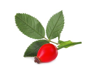 Photo of Ripe rose hip berry with leaves isolated on white
