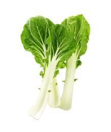 Fresh leaves of green pak choy cabbage on white background, top view