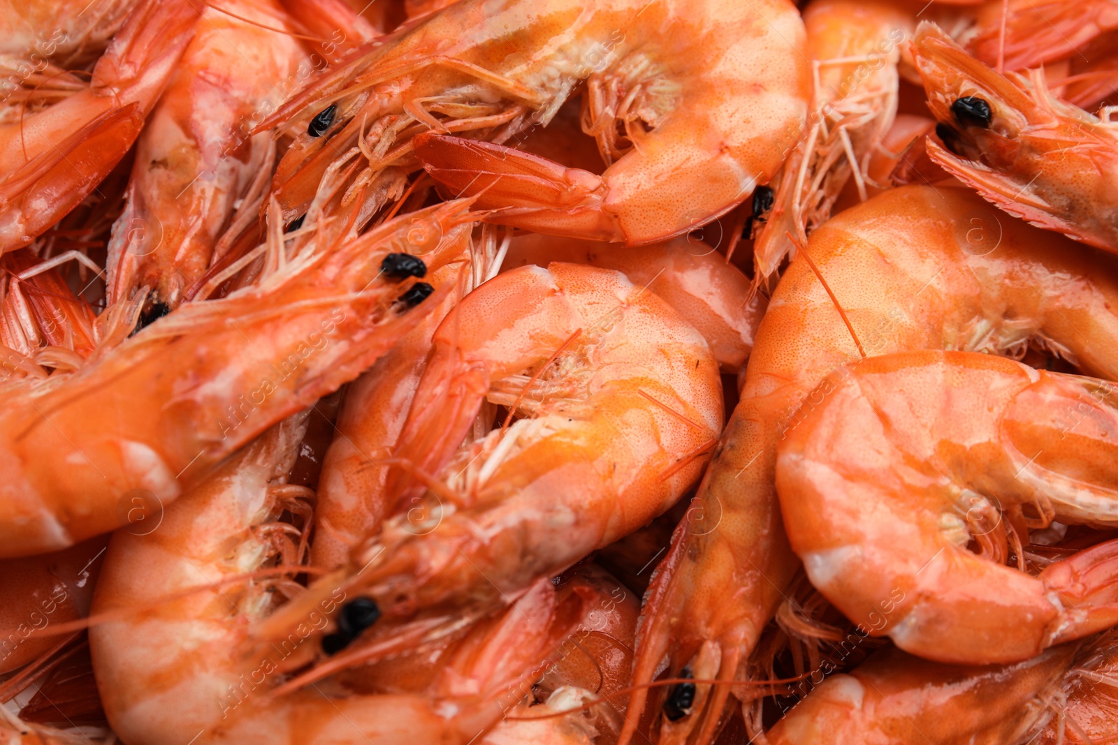 Photo of Pile of delicious cooked shrimps as background, closeup