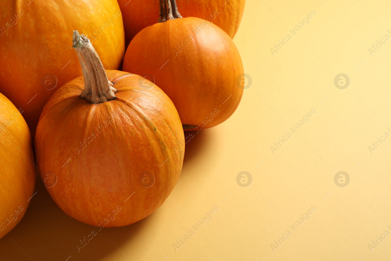 Photo of Fresh ripe pumpkins on yellow background, space for text. Holiday decoration