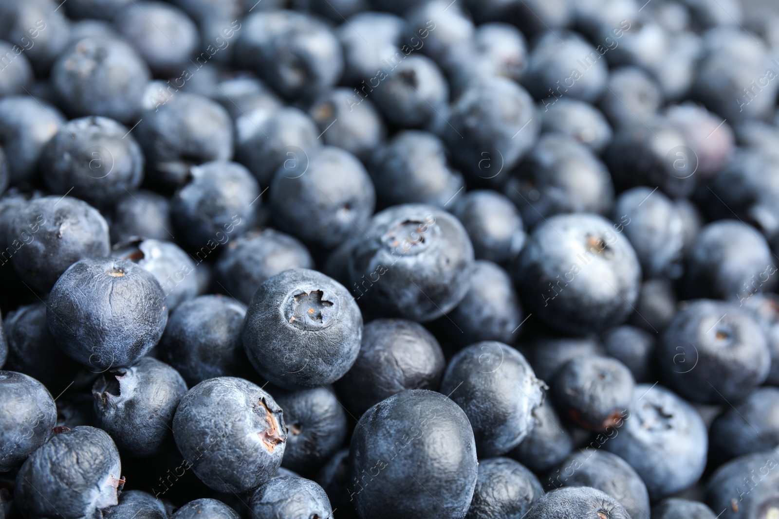 Photo of Fresh tasty blueberries as background, closeup view