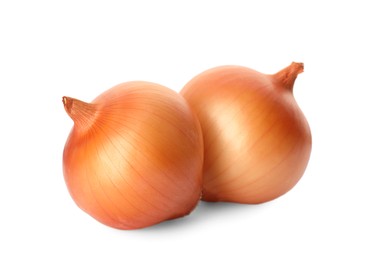 Photo of Two fresh unpeeled onions on white background