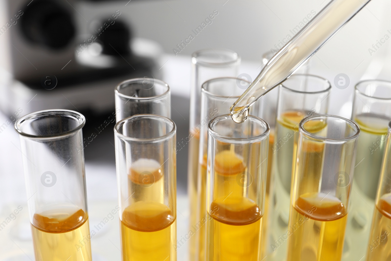 Photo of Dropping urine sample for analysis into tube in laboratory, closeup