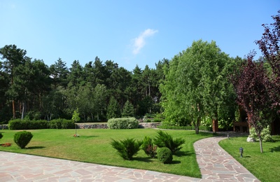 Photo of Picturesque landscape with beautiful green garden on sunny day