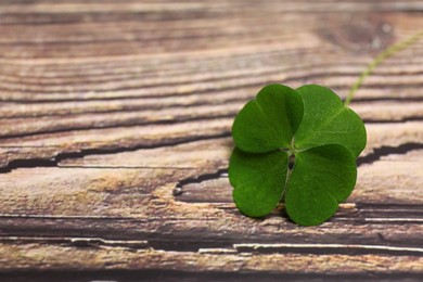 Photo of Beautiful green four leaf clover on wooden table. Space for text