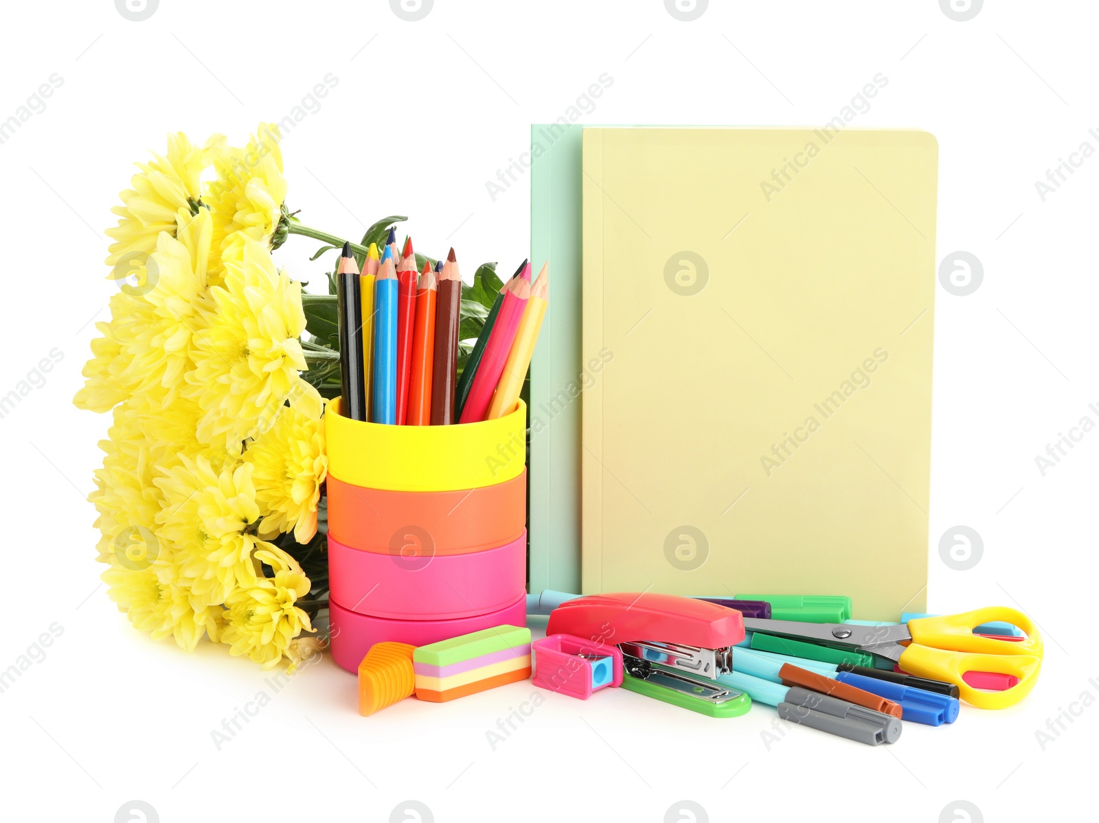 Photo of Beautiful flowers and stationery on white background. Teacher's Day