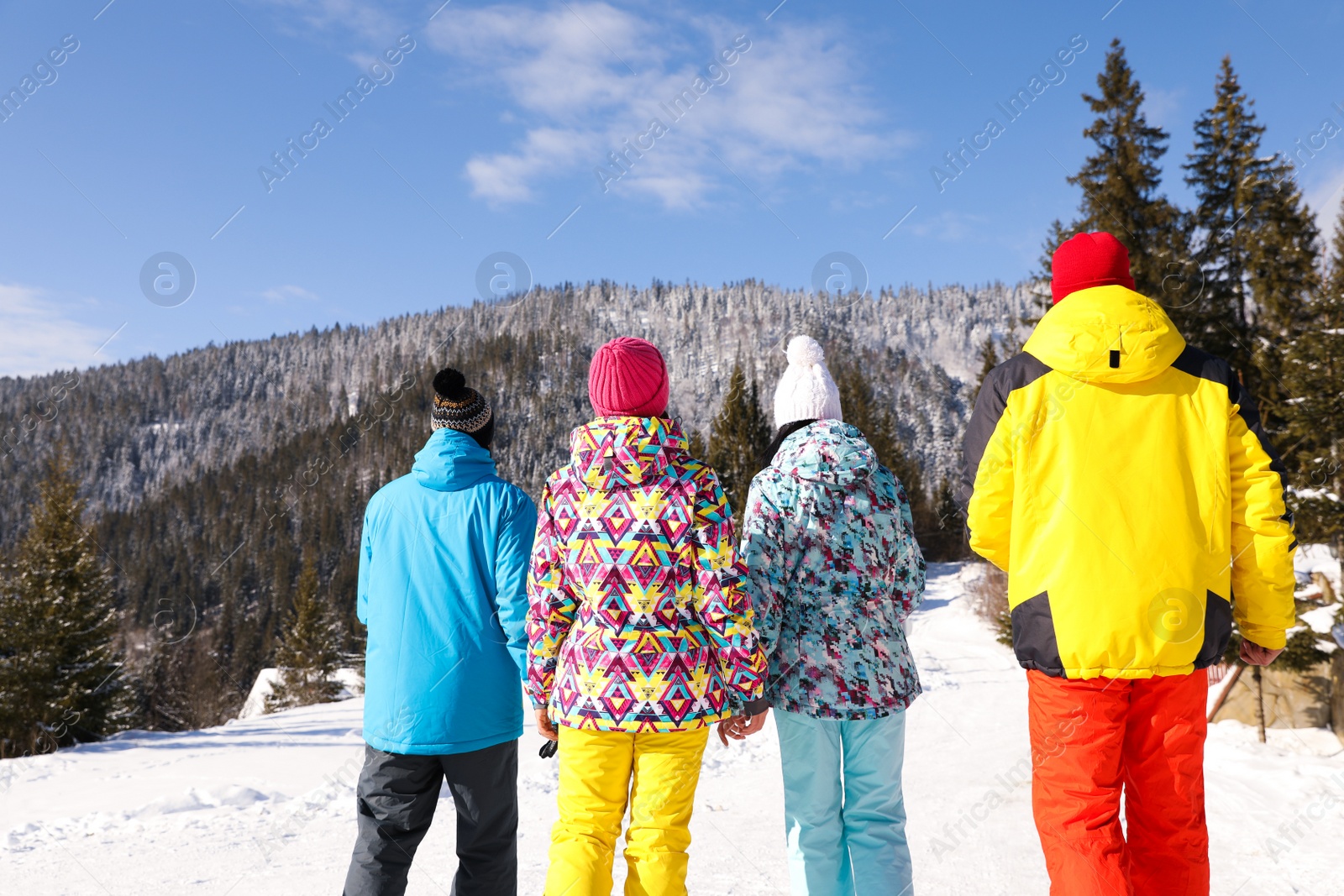 Photo of Group of friends in snowy mountains, back view. Winter vacation