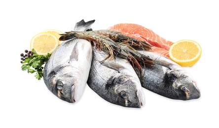 Photo of Fresh dorado fish, shrimps and salmon on white background