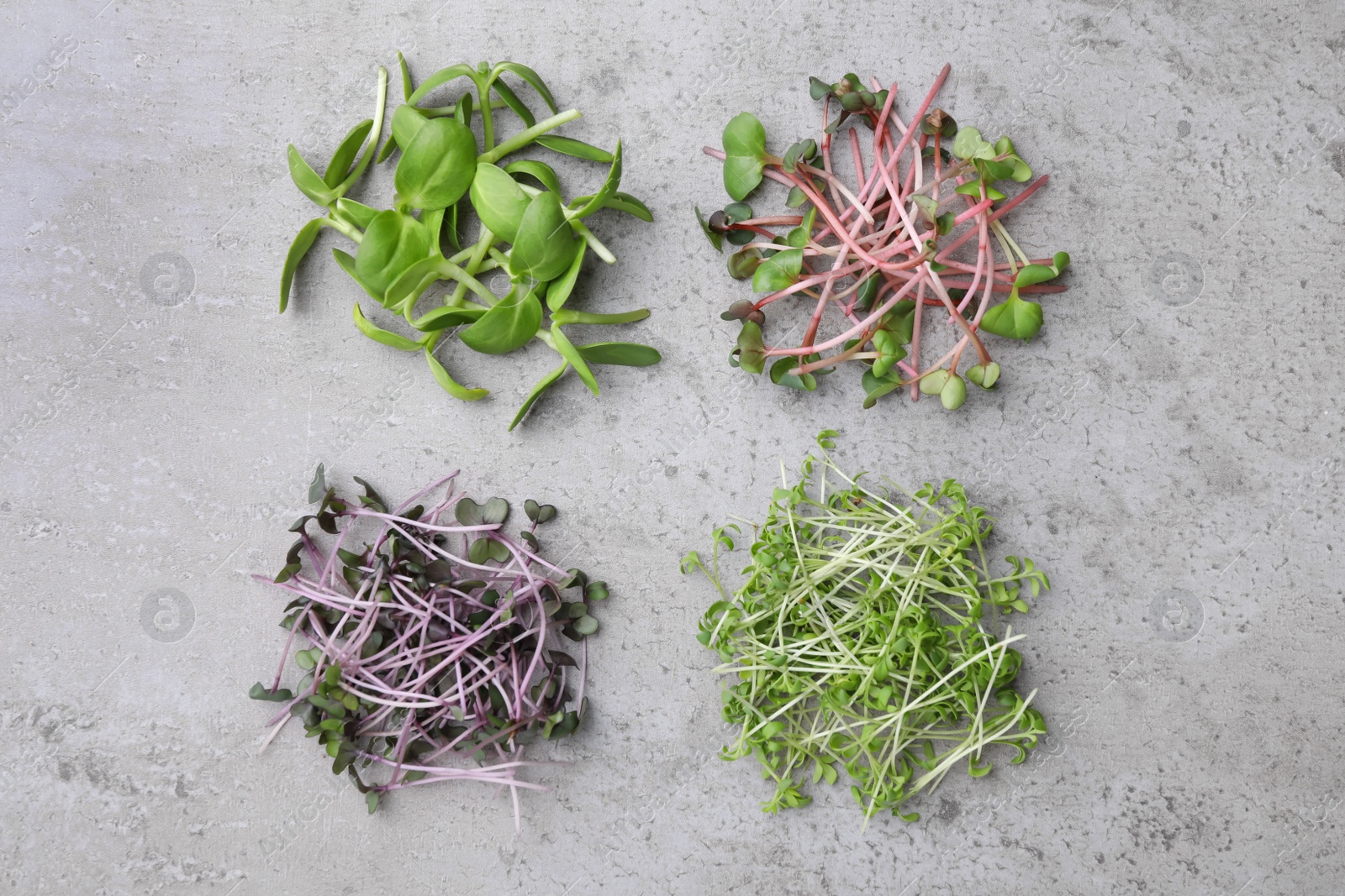 Photo of Heaps of fresh organic microgreens on grey table, flat lay
