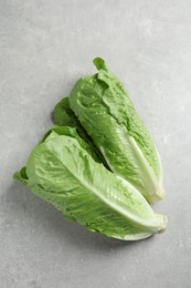 Photo of Fresh green romaine lettuces on light grey table, top view