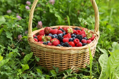 Photo of Wicker basket with different fresh ripe berries in green grass outdoors