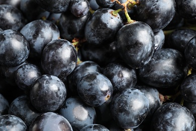 Photo of Fresh ripe juicy black grapes as background, closeup view