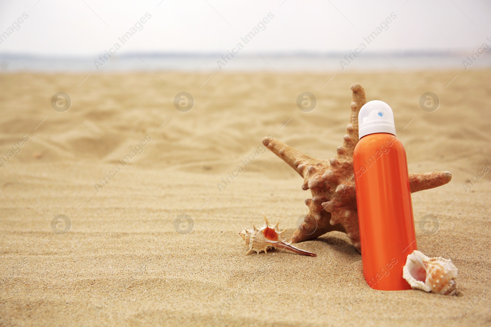 Photo of Sunscreen, starfish and seashells on beach, space for text. Sun protection care