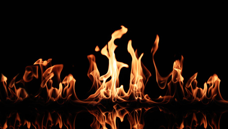 Photo of Beautiful bright fire flames on black background