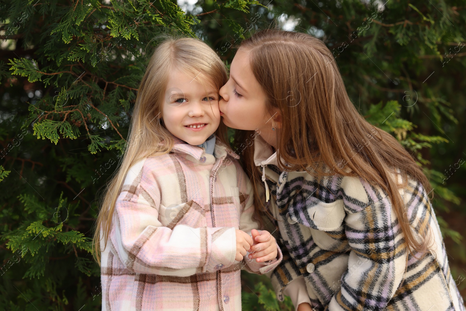 Photo of Cute little sisters spending time together outdoors